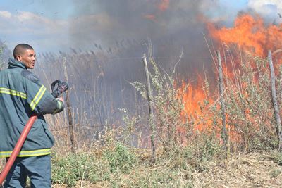 Byeboere ly groot skade in veldbrand